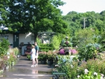 104-0419_IMG.JPG (105662 bytes)