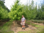 Davetrees.JPG (220111 bytes)